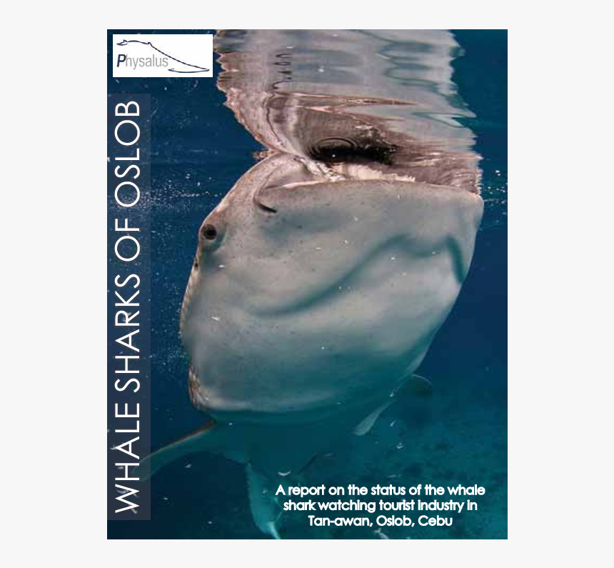 Beachy Beach, HD Png Download