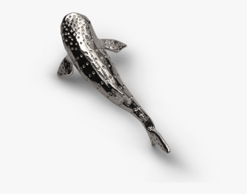 Squalo Balena Ciondolo, HD Png Download