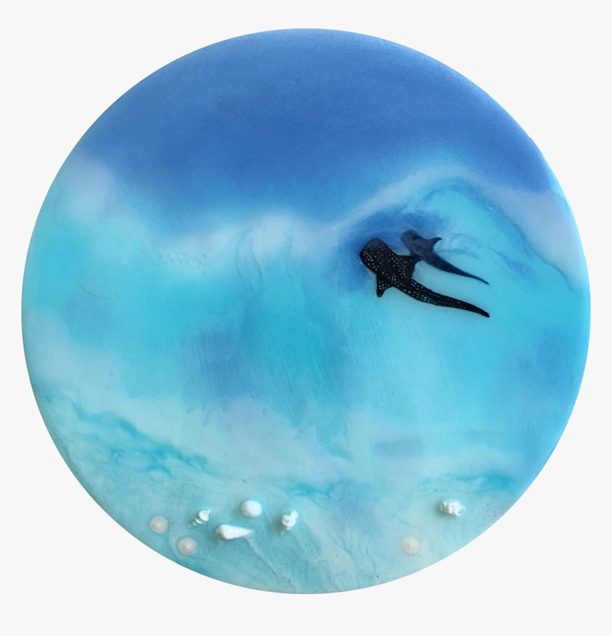 Circle, HD Png Download