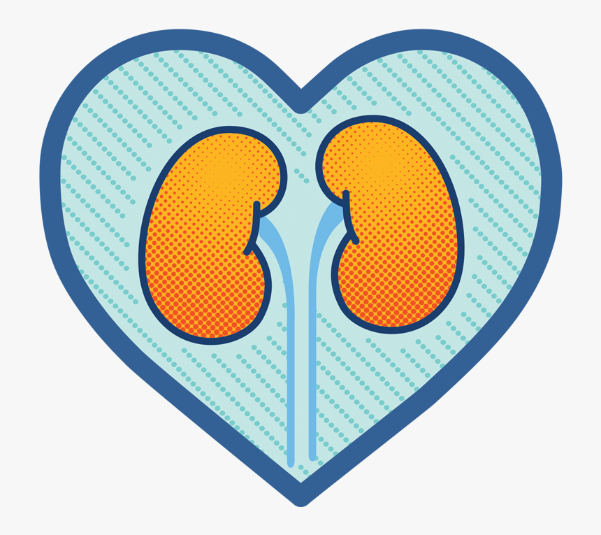 De Benefit Of Garden Egg, HD Png Download