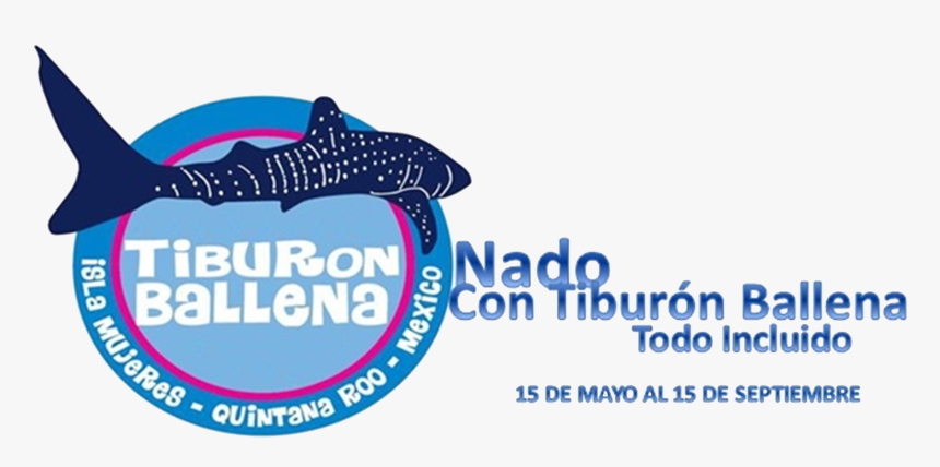 Transparent Tiburon Png - Whale Shark, Png Download