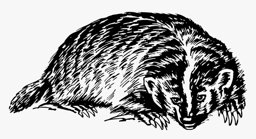 Orly What The Fuck Is Security, HD Png Download