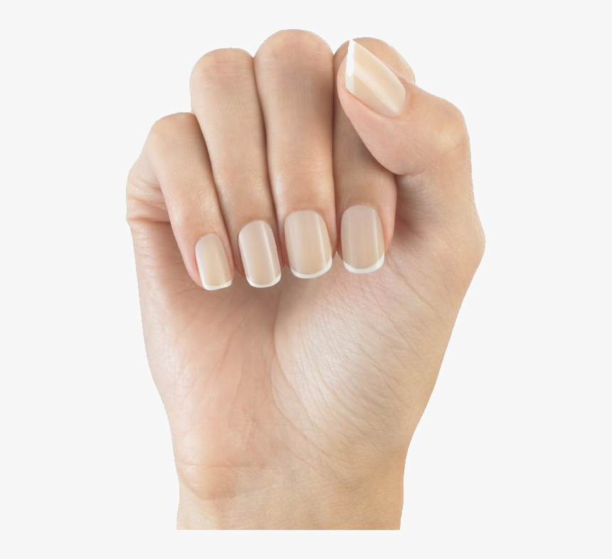 Nails Png Image - Elegant Touch Bare Nails, Transparent Png