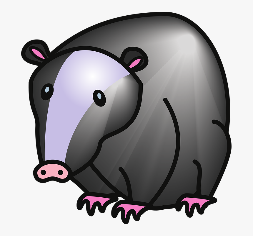 Badger, Children, Wildlife - Grævling Png, Transparent Png
