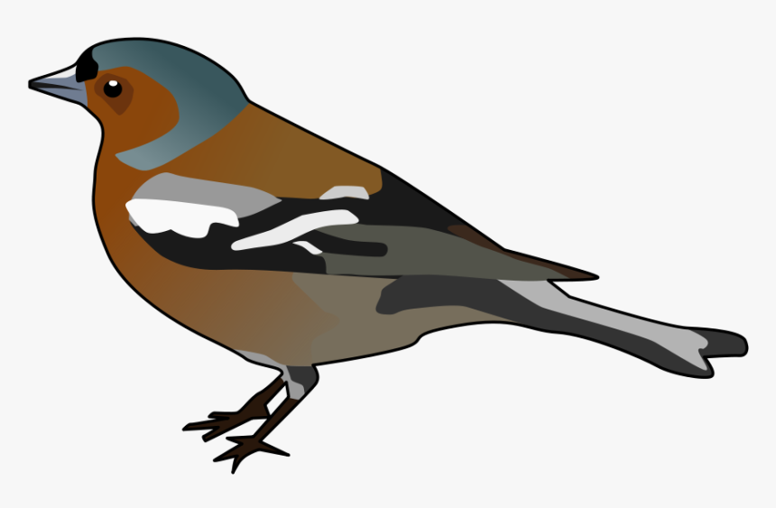 Male Chaffinch Clipart - Chaffinch Clipart, HD Png Download