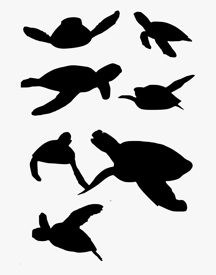 Download Png - Turtle - Sea Turtle Vector Png, Transparent Png