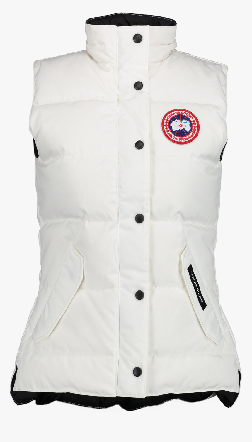 Canada Goose, HD Png Download