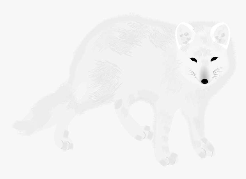 Arctic Fox,carnivore,fur - Arctic Fox, HD Png Download