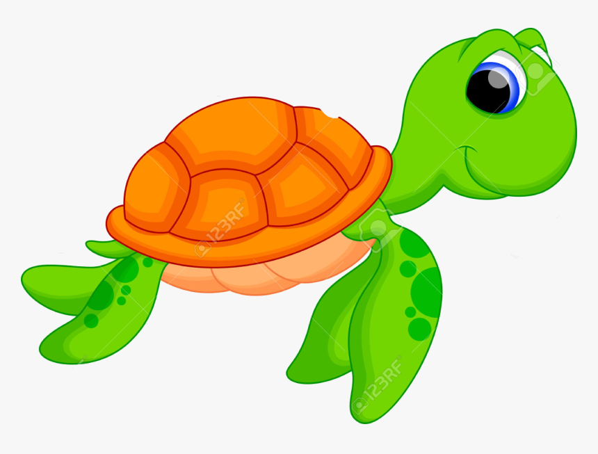 Pond-turtle - Transparent Cartoon Sea Turtle, HD Png Download