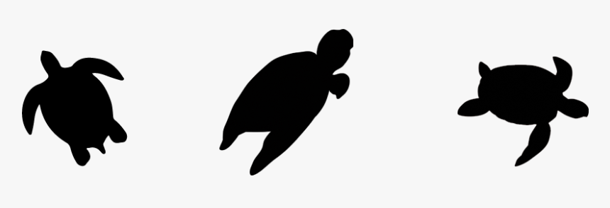 Data Rimg Lazy 
 Data Rimg Scale 1 
 Data Rimg Template - Save The Turtles Clipart, HD Png Download