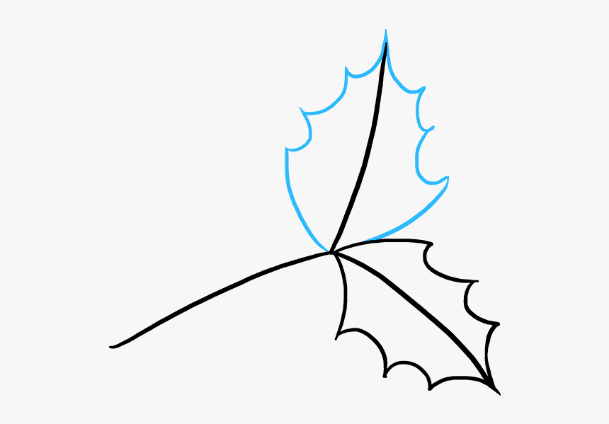 Holly Drawing Mistletoe - Holly Drawing, HD Png Download