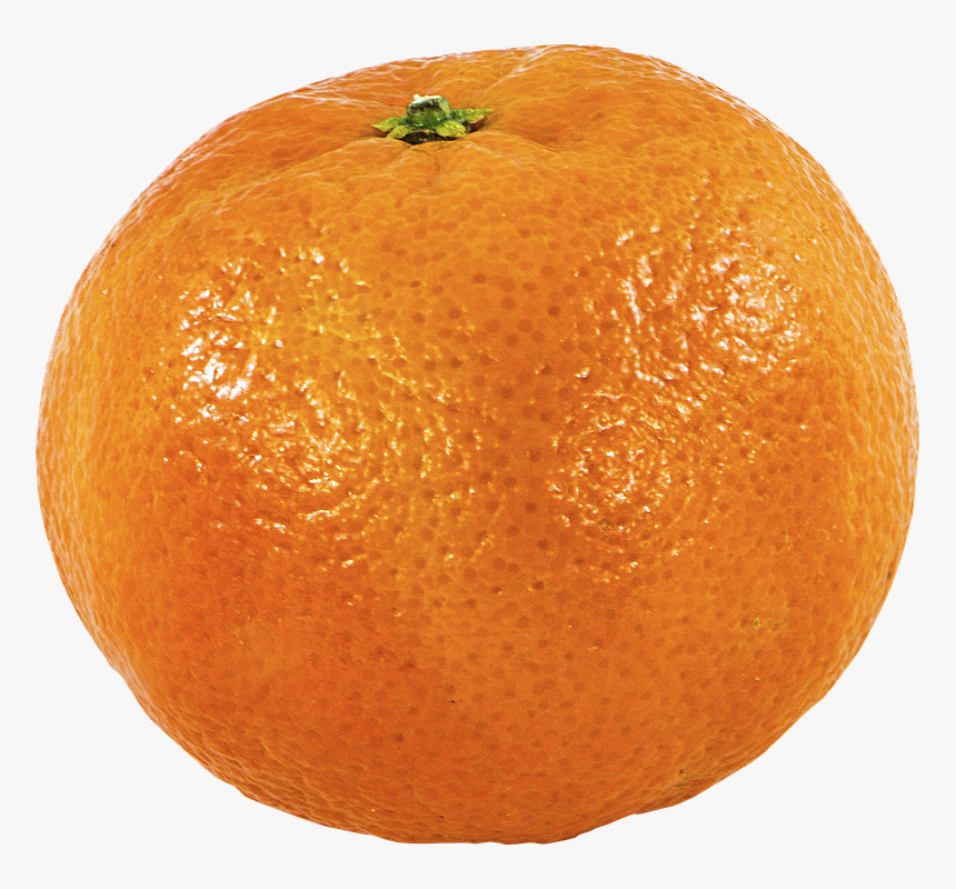 Fruit, Clementine, Png, Orange, Citrus, Clementina - Clementine Png, Transparent Png