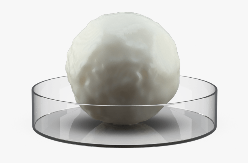 Sphere, HD Png Download