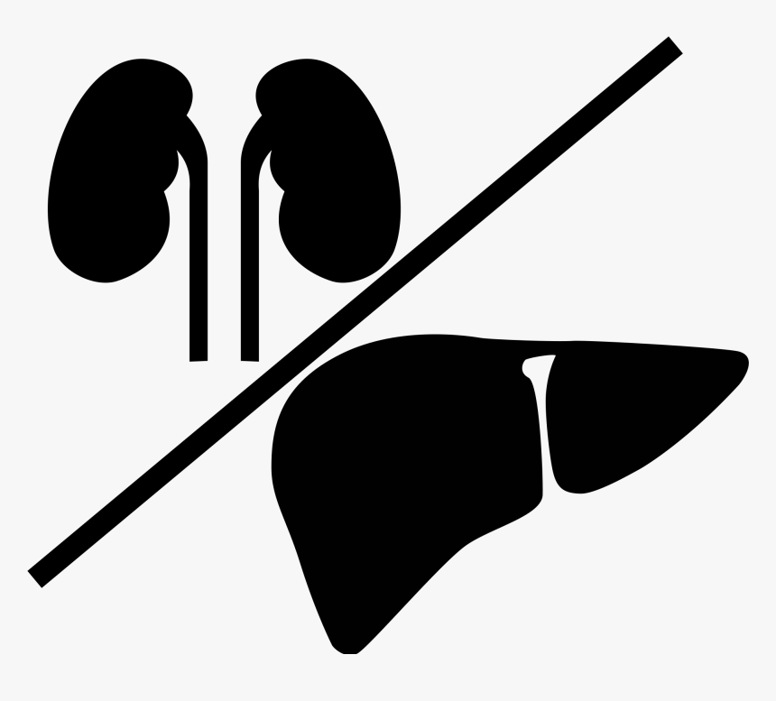 Liver And Kidney Icon , Png Download - Liver And Kidney Clip Art, Transparent Png