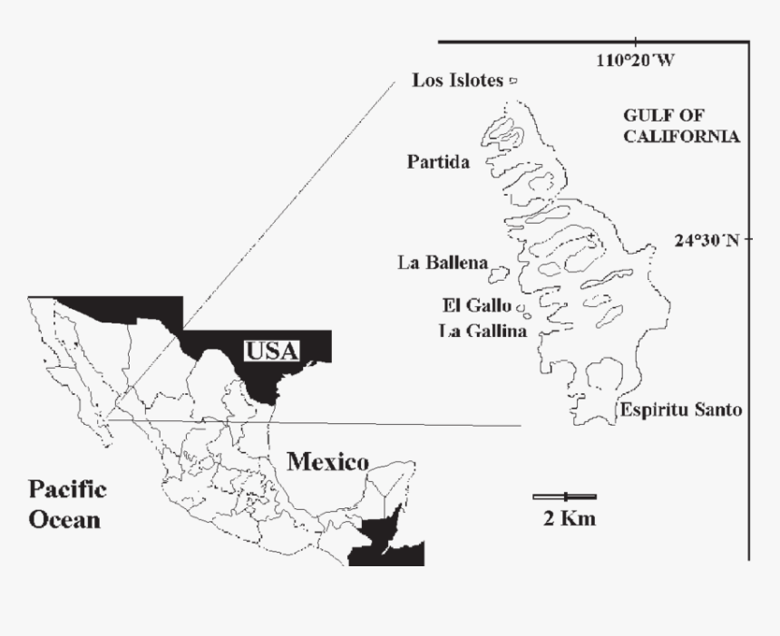 Diagram, HD Png Download