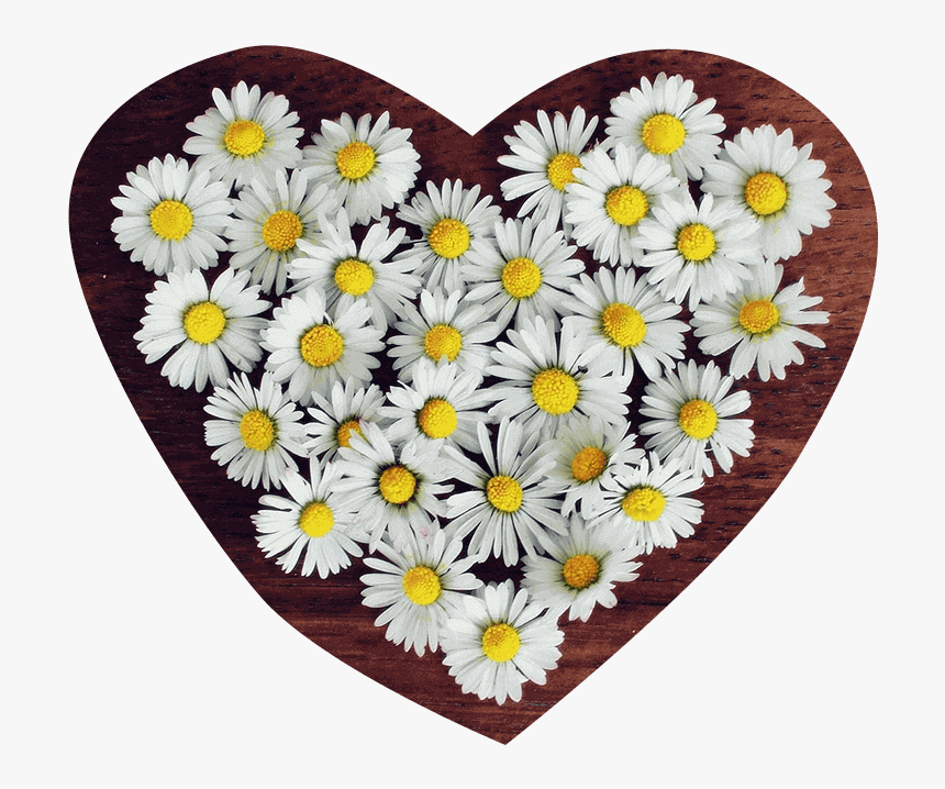 Flower Png Heart Transparent - Profile Icon Whatsapp Flower, Png Download