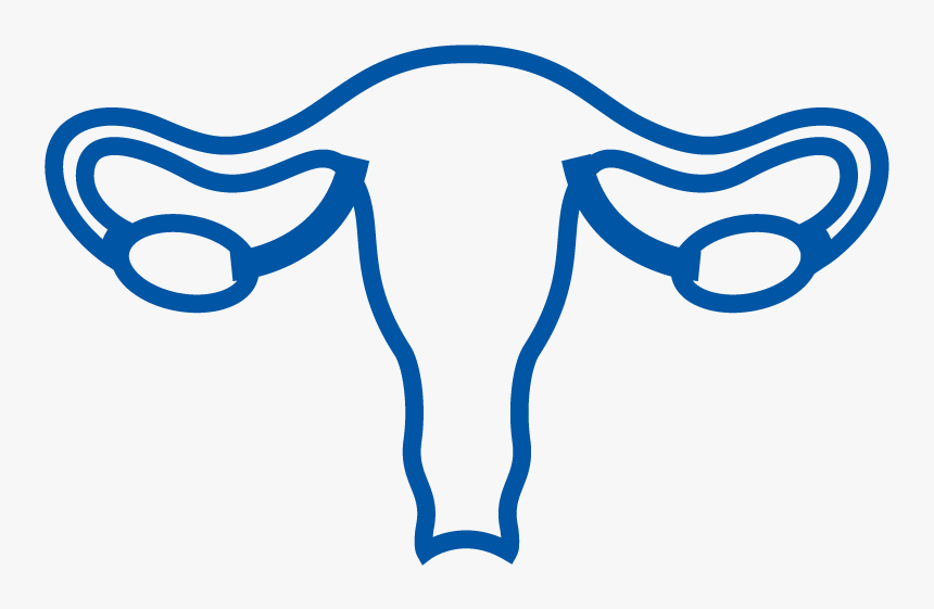 Cancer Types Kidney , Png Download, Transparent Png