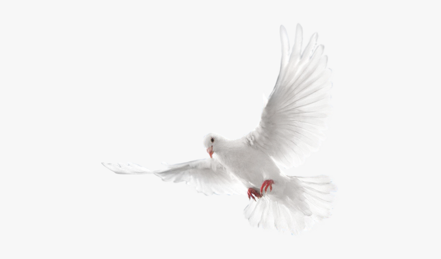 Espiritu Santo Png, Transparent Png