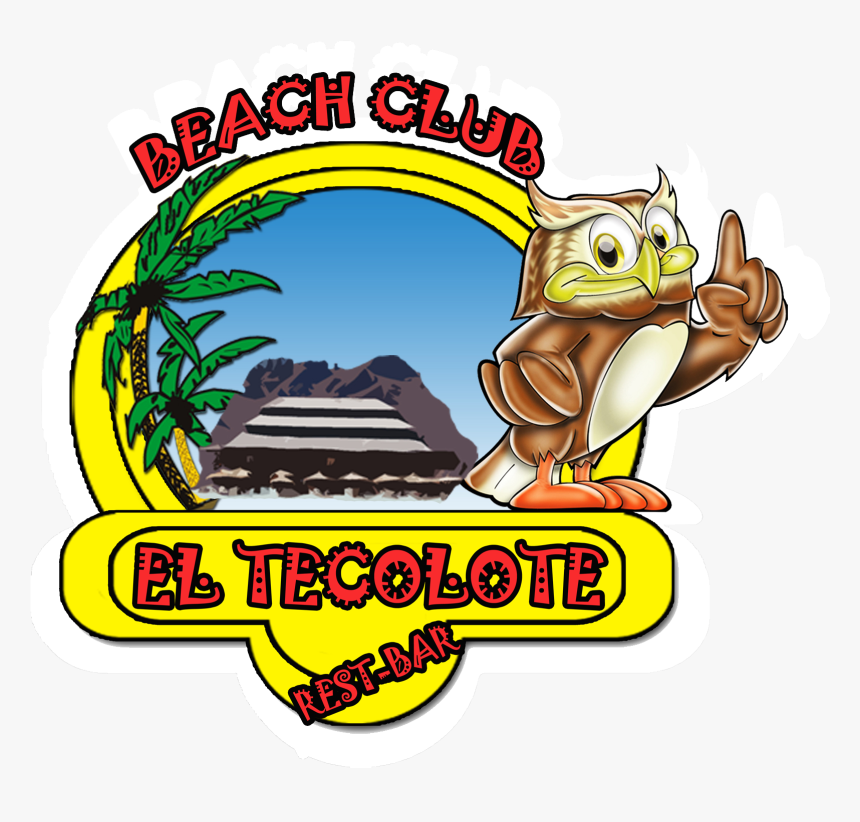 Transparent Espiritu Santo Clipart - Cartoon, HD Png Download