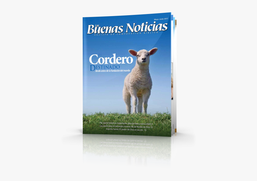 Las Buenas Noticias Mayo - Cordeiro Que Foi Morto Desde A Fundação Do Mun, HD Png Download