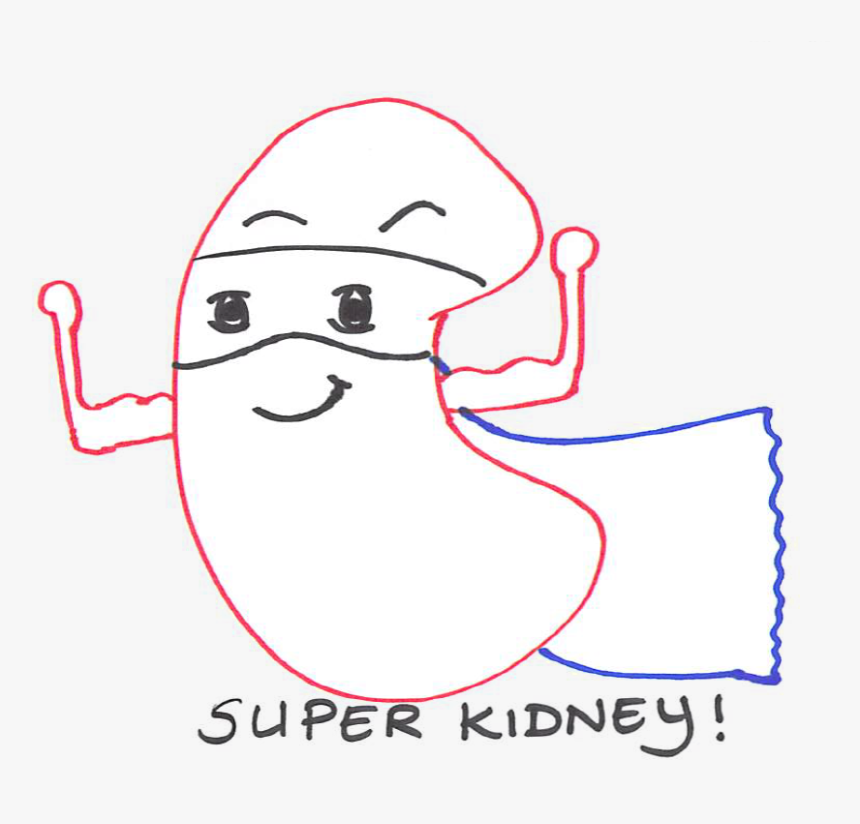 Cartoon, HD Png Download