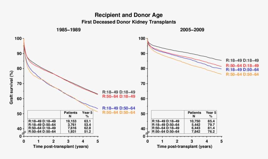 Diagram, HD Png Download