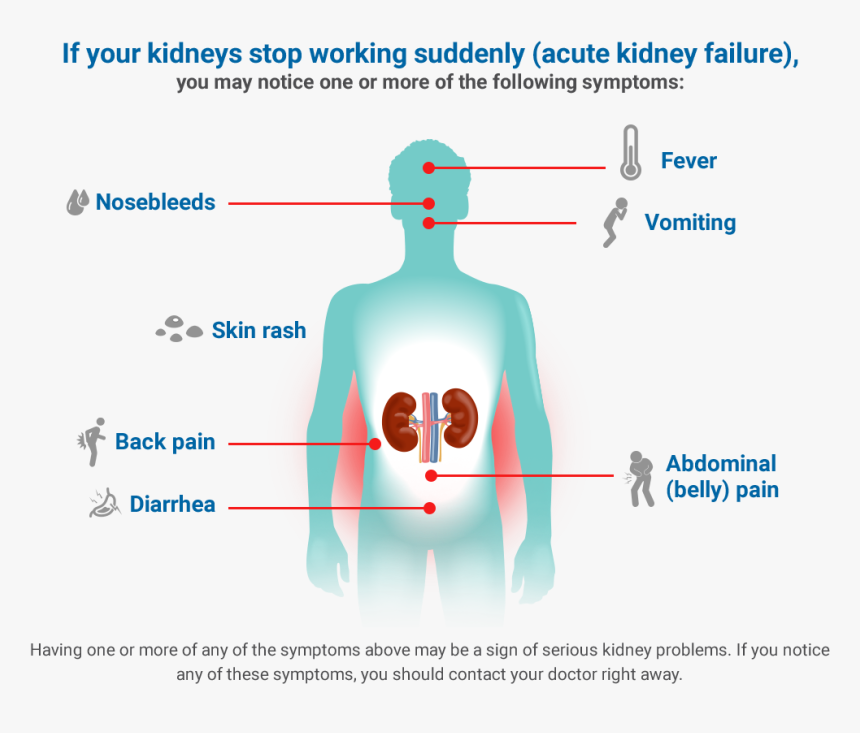 Kidney Disease Symptoms, HD Png Download