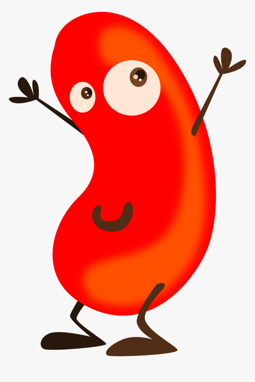 Clip Art Kidney Beans Clip Art - Clip Art Bean, HD Png Download
