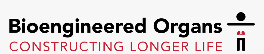 Erbaorganics, HD Png Download