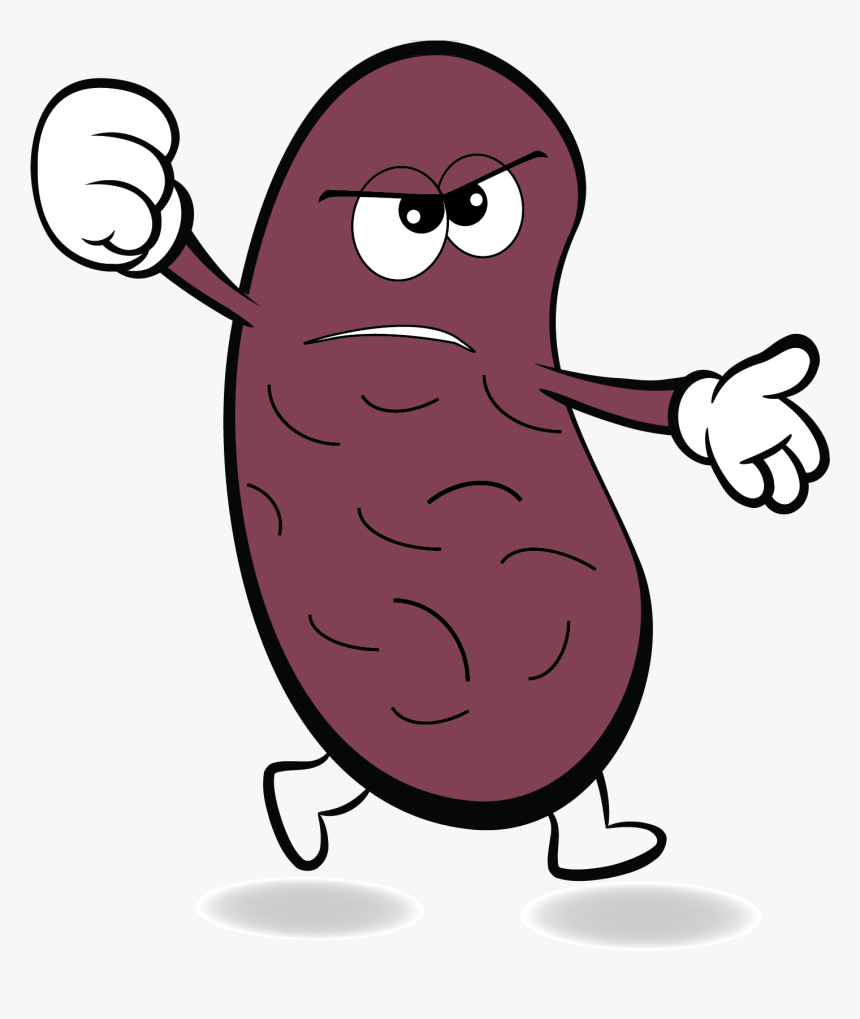 Angry Kidney Clipart - Cartoon Fruit, HD Png Download
