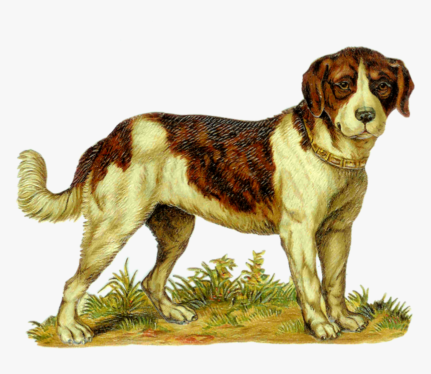 Dog .png, Transparent Png