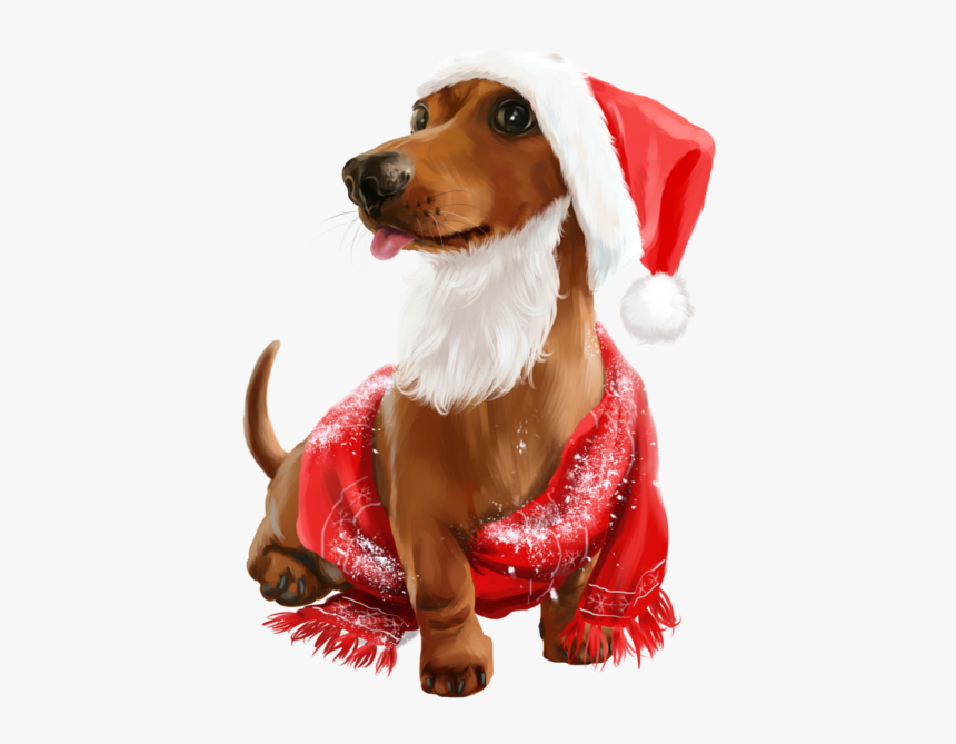 Cute Christmas Animals, HD Png Download