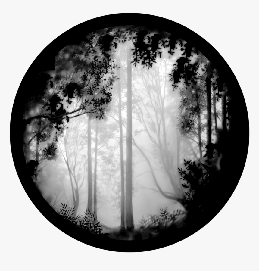 Apollo Forest Misty - Black And White Scenery, HD Png Download