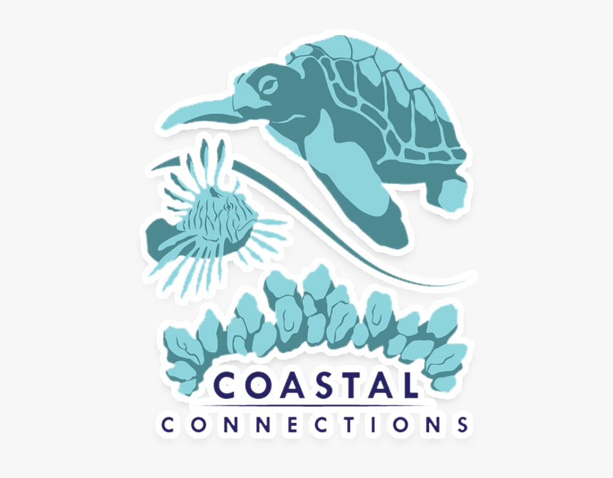Coastal Connections Vero Beach, HD Png Download