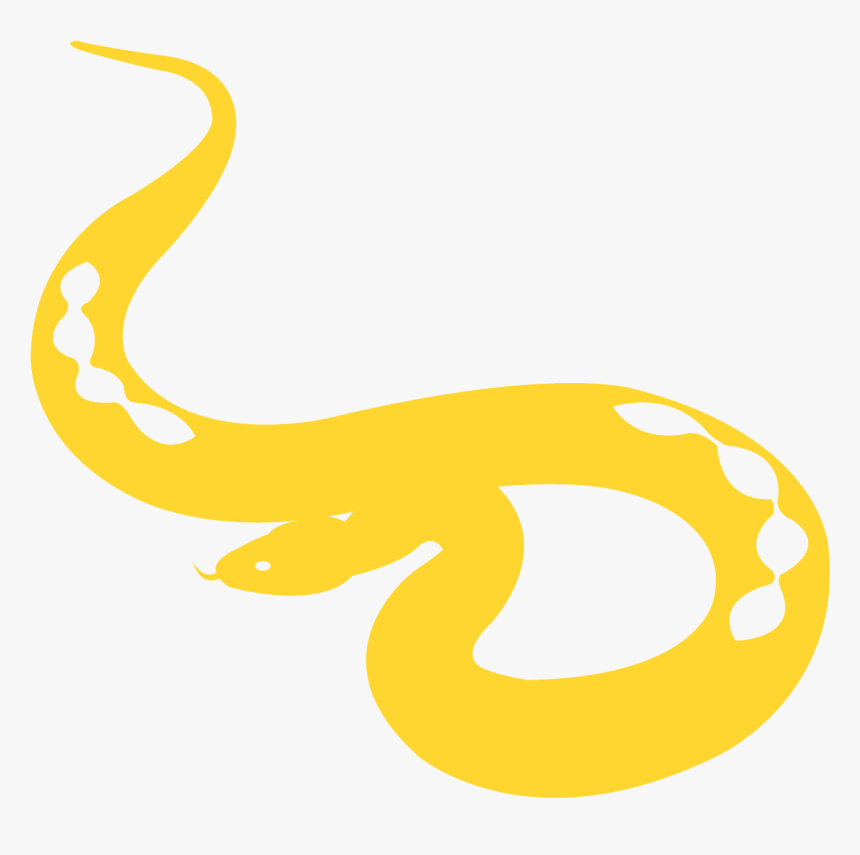 Python, HD Png Download , Transparent Png Image - PNGitem