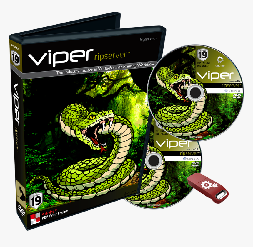 Elapidae, HD Png Download