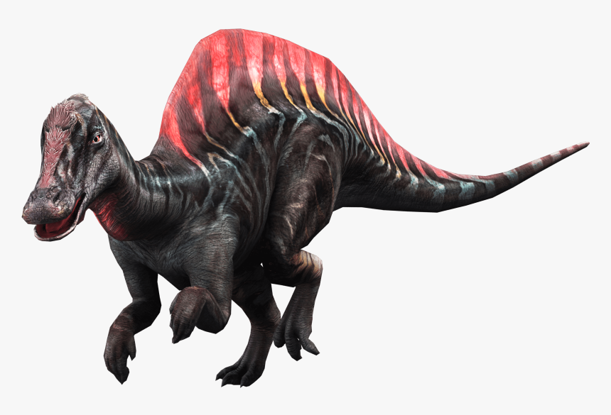 Tyrannosaurus, HD Png Download