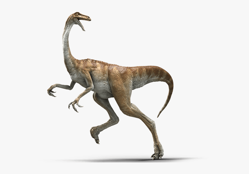 Gallimimus Jurassic World Evolution, HD Png Download