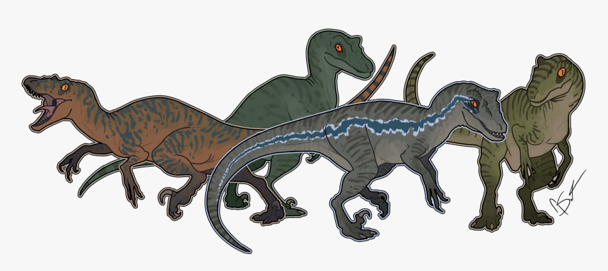 Raptors Jurassic World, HD Png Download