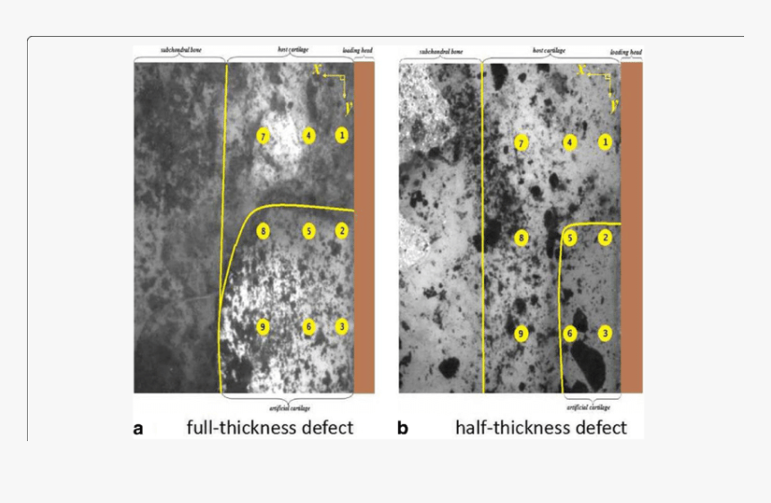 Screenshot, HD Png Download