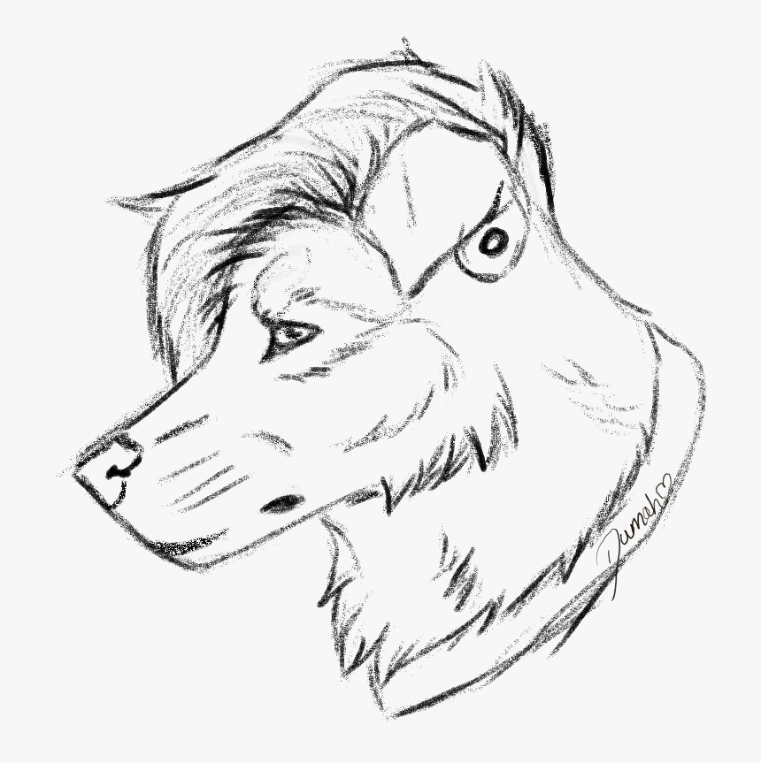 Ezio - Sketch Comm - Sketch, HD Png Download