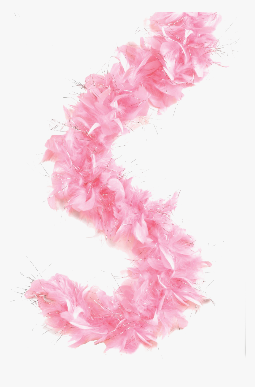 Feather Boa Png Picture - Feather Boa Png, Transparent Png