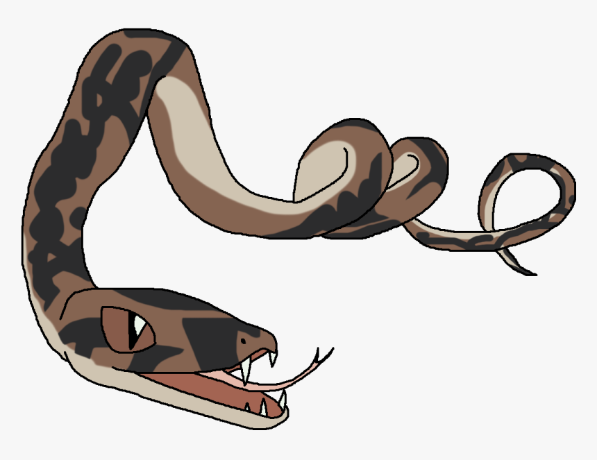 Boa Constrictor - Python - Python, HD Png Download