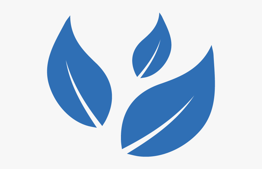 Leaves3 - Graphic Design, HD Png Download