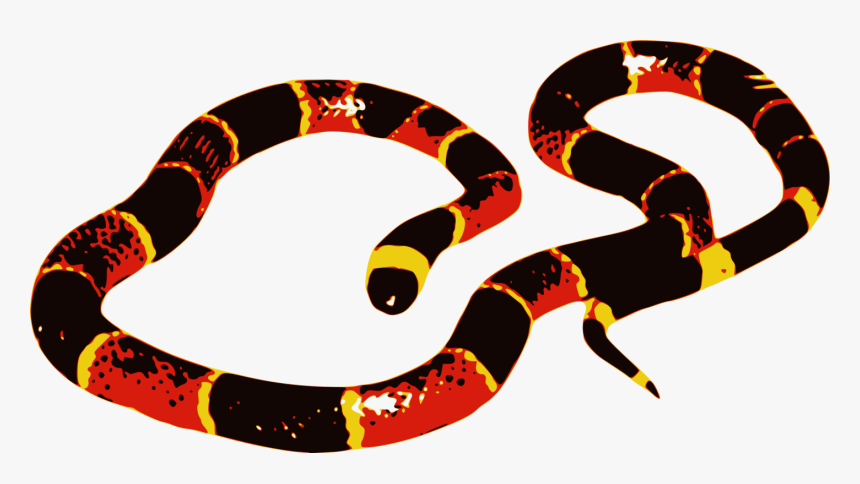 Coral Snake Clip Art, HD Png Download