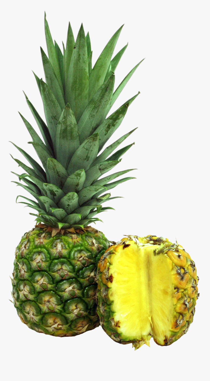 Mengikut Sejarah, Christopher Columbus, Penjelajah - Jenis Nanas Di Malaysia, HD Png Download