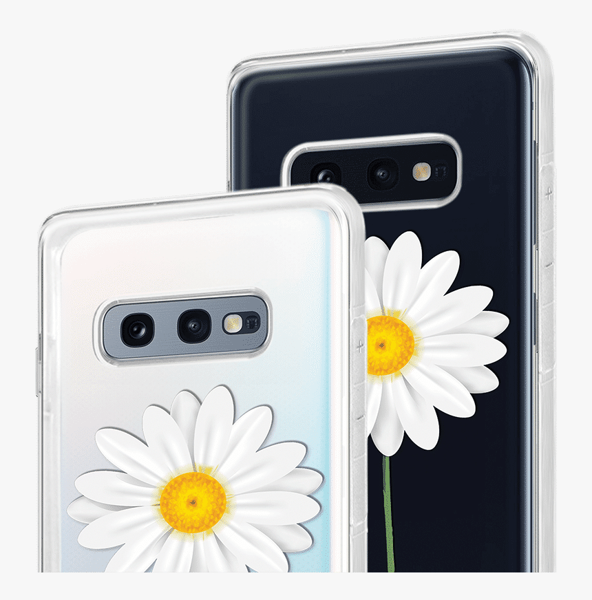 Camomile, HD Png Download