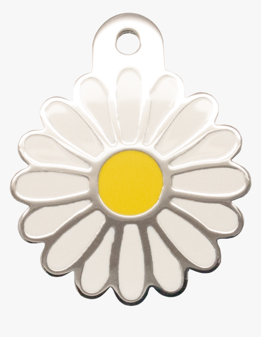 パスポート 茶色, HD Png Download