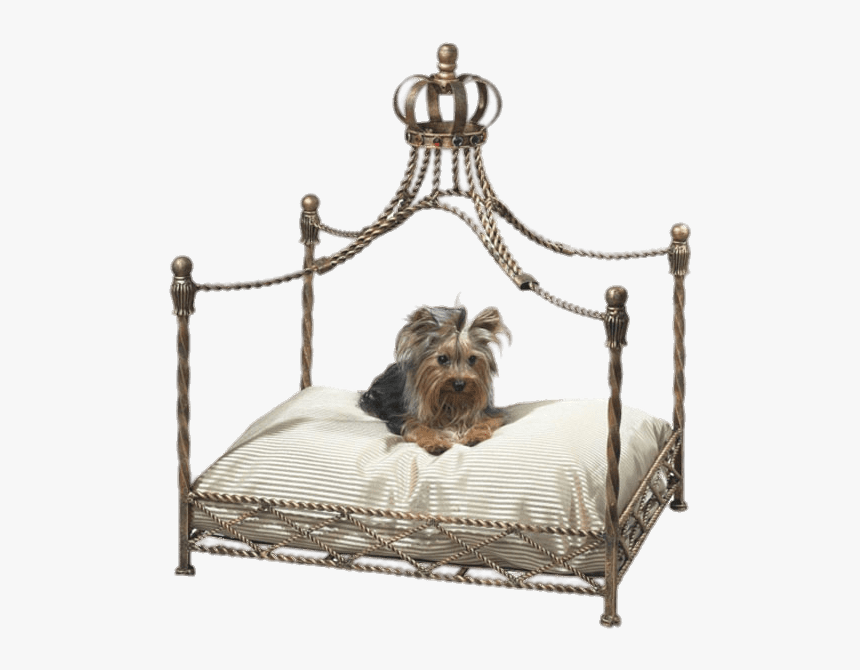 Pet Canopy Bed - Cat Canopy Bed, HD Png Download