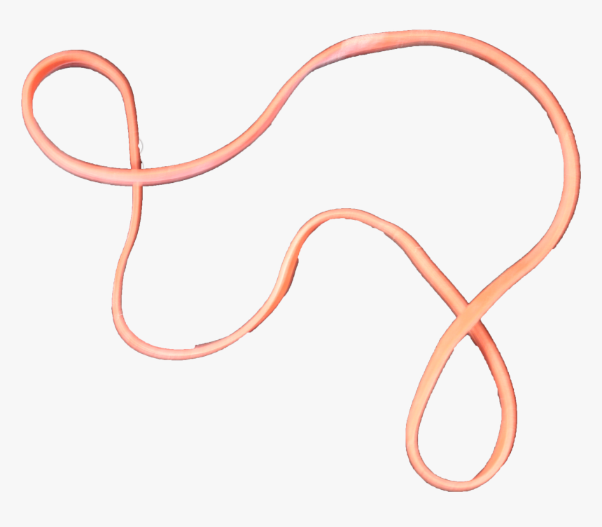 Elastic Band Png - Slender Blind Snake, Transparent Png
